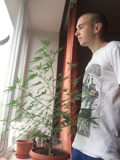  -,   , 31 ,   ,   , c , 