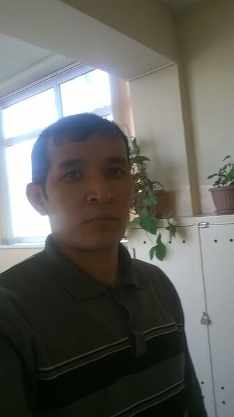  ,   87023400492, 43 ,   