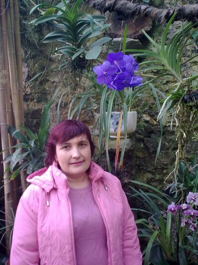  ,   , 58 ,   ,   , c 