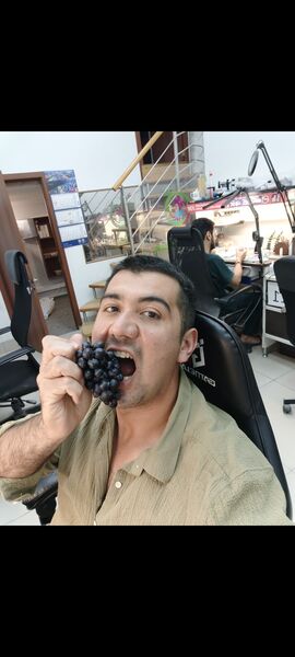  -,   , 28 ,   ,   