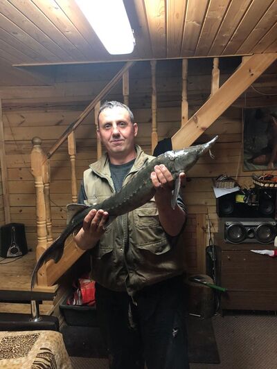  ,   , 47 ,   ,   
