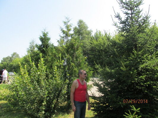  ,   , 65 ,     , c 