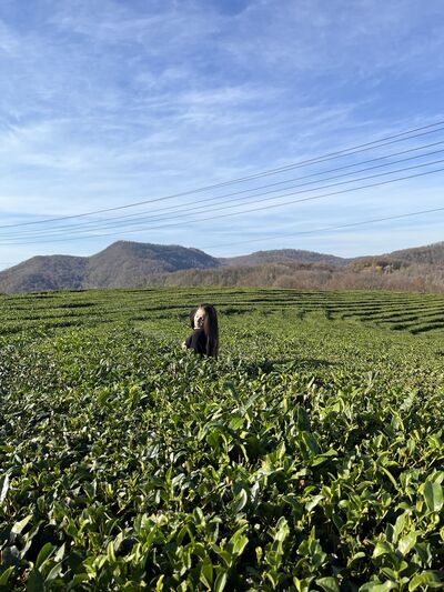  ,   , 23 ,   ,   , c 