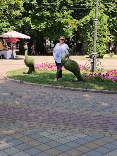  ,   , 52 ,   c 