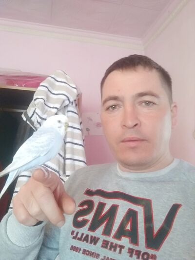  ,   Shamil, 40 ,   ,   , c 