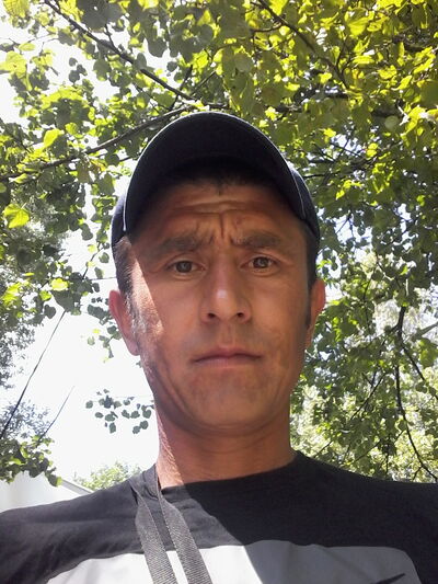  -,   Sardor, 40 ,   ,   , c , 