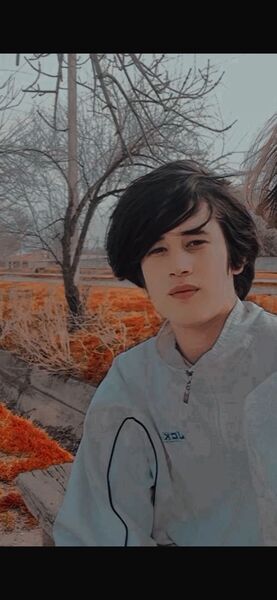  ,   Daler, 21 ,   ,   