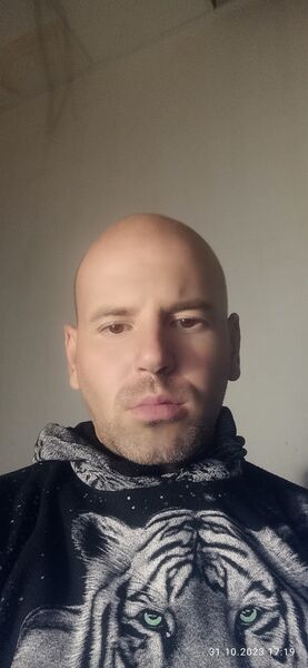  ,   Twerdochklib, 41 ,   ,   