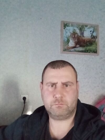  --,   , 38 ,   ,   