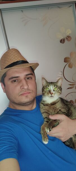  ,   , 38 ,     , c 