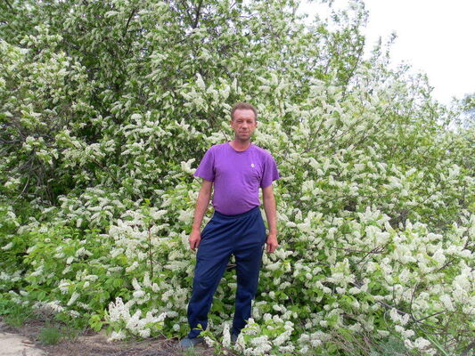  ,   , 53 ,   