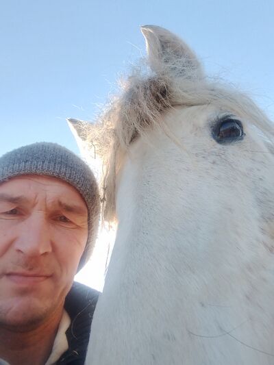  ,   , 44 ,   c 
