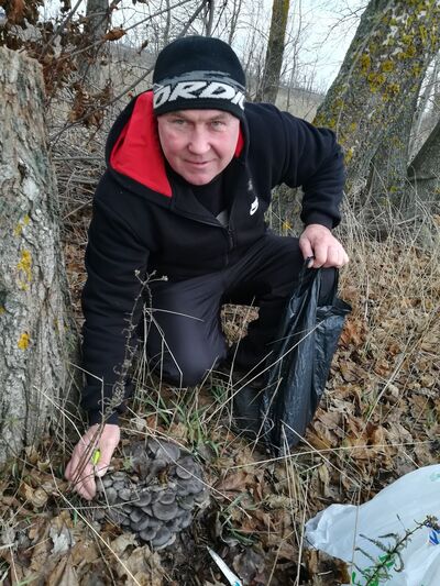  ,   , 46 ,  