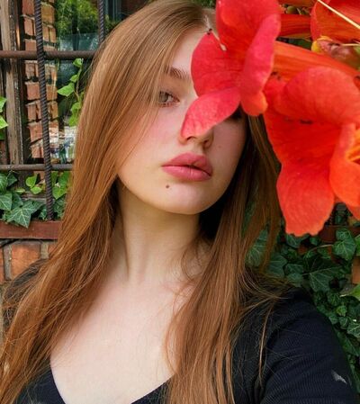  -,   , 26 ,   ,   