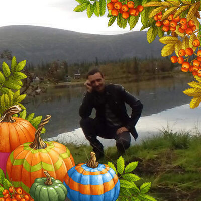  ,   HIKO, 50 ,   ,   , c 