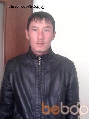  3569597  Shake, 33 ,    