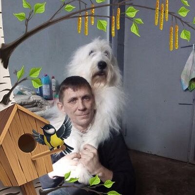  ,   , 51 ,   ,   , c , 