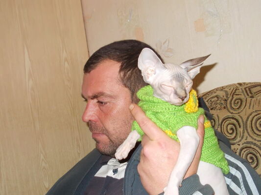  ,   IGOR, 52 ,   ,   , c , 
