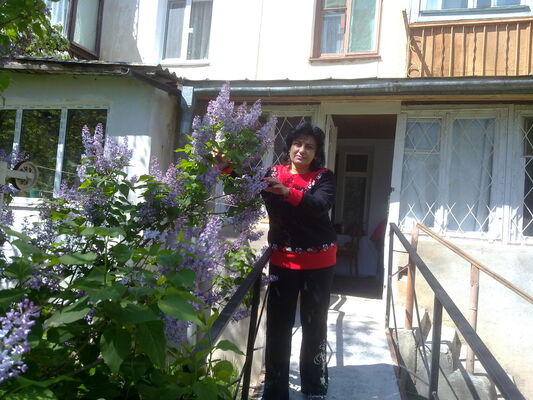  ,   Suzaria, 70 ,  