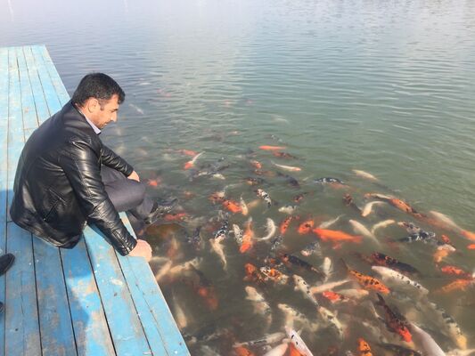  ,   Zohrab, 44 ,     , c 