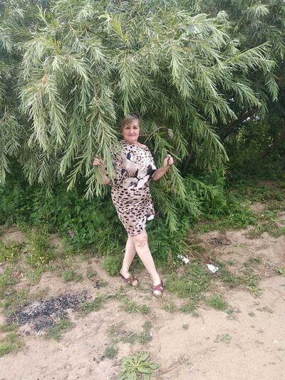  ,   , 62 ,   ,   