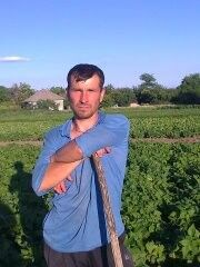  ,   Serjiu, 43 ,   ,   , c 