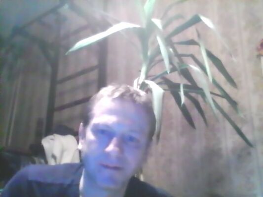  ,   , 48 ,  