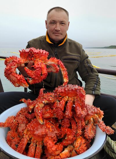  -,   , 47 ,   ,   , c , 