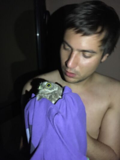  ,   Alexandr, 37 ,   ,   , c 
