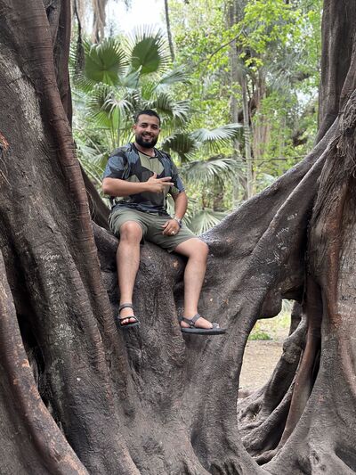  ,   Alikr, 36 ,   ,   
