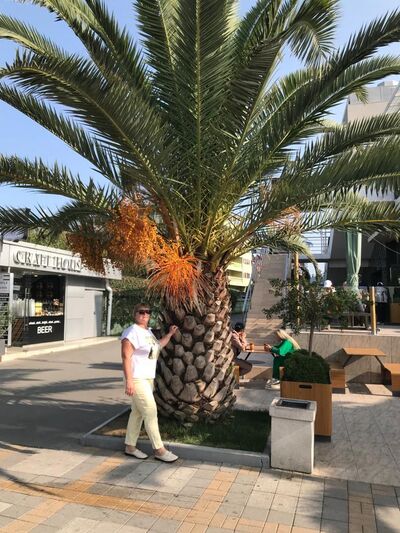  ,   , 52 ,     , c 