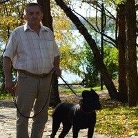  ,   , 67 ,   