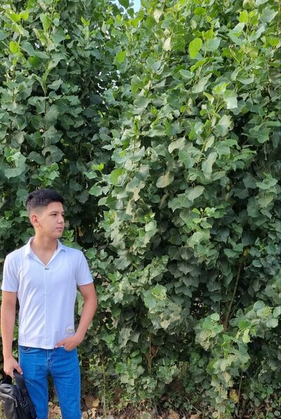  ,   Jurabek, 18 ,   ,   