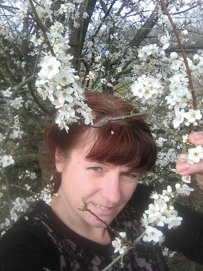  ,   , 48 ,  