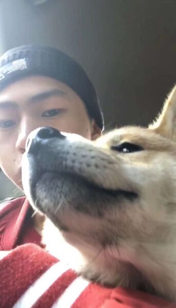  ,   Gd, 24 ,   ,   