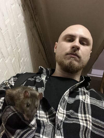  --,   , 31 ,   ,   