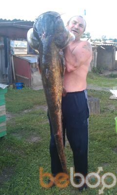  ,   , 58 ,  