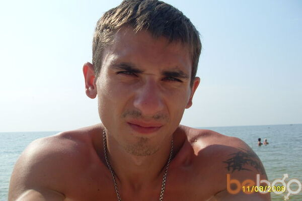  ,   Electrokot, 40 ,     , c 