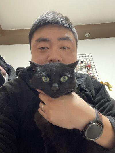  ,   , 41 ,   ,   , c 