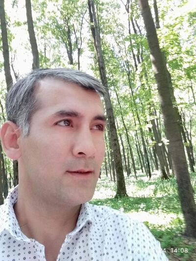 ,   , 43 ,   