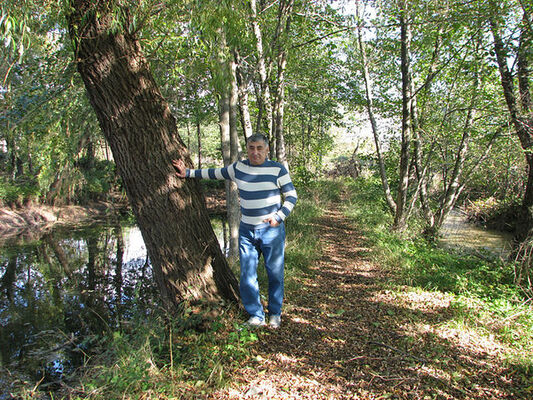  ,   Barsa, 60 ,   