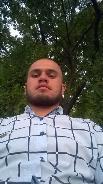  -,   , 33 ,     , c , 