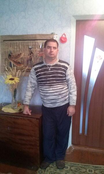   ,     , 49 ,   ,   
