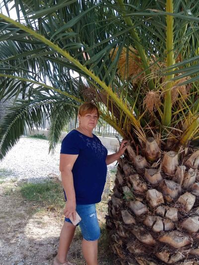  ,   , 64 ,   c 