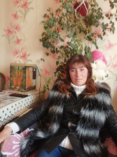  ,   , 53 ,   ,   