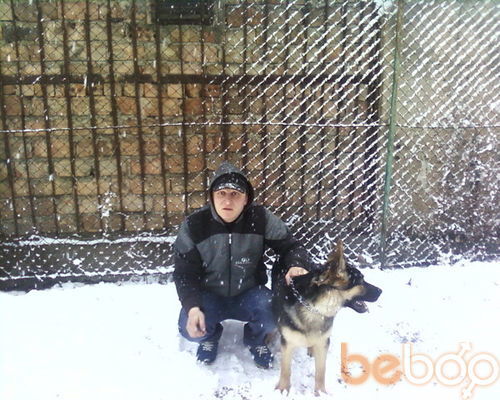 ���������� �������, ���� ������� Goga, 40 ���, ������������ ��� ������, ����� � ���������, c�������� ���������