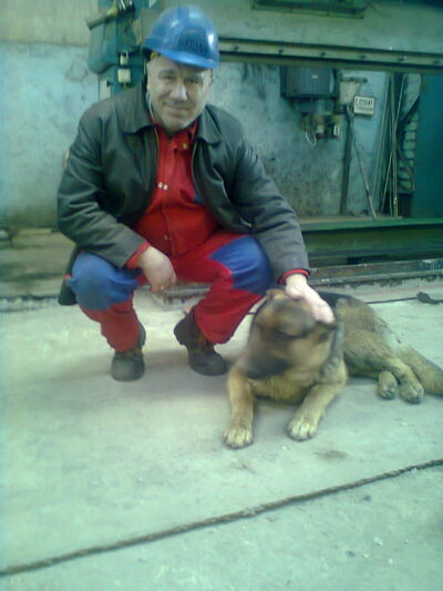  ,   , 61 ,   