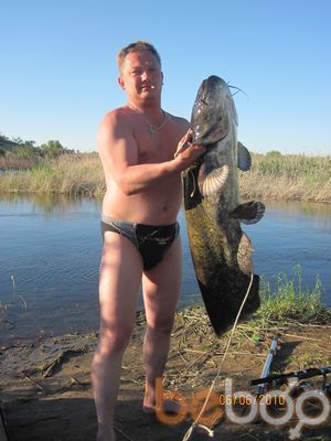  ,   Dimon, 50 ,   