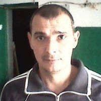  11395317  , 49 ,    