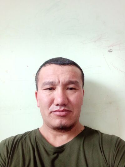  --,   , 38 ,   ,   